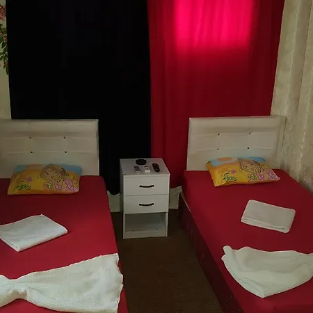 Parliament 博德鲁姆